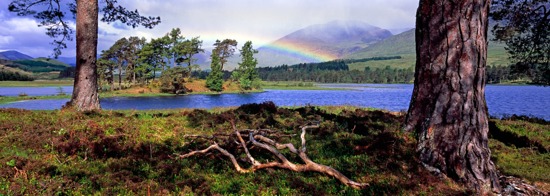 Loch Tulla, Loch Tulla