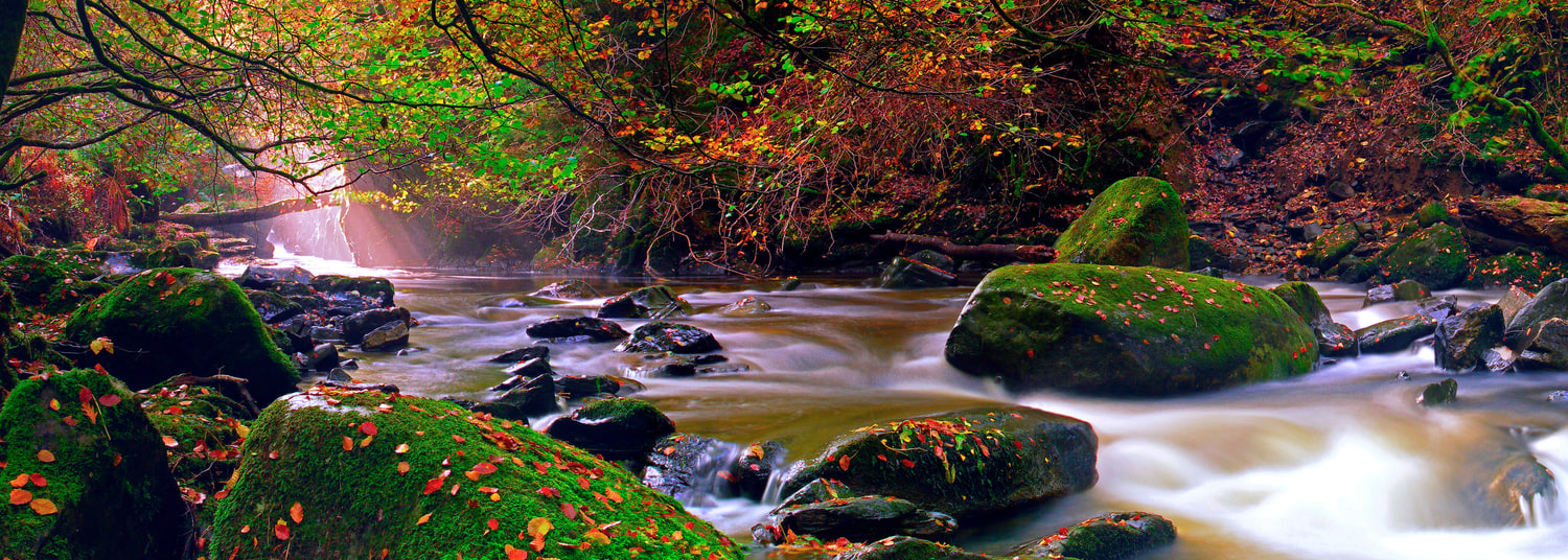 The Birks of Aberfeldy, Perthshire